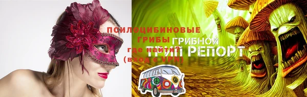 ECSTASY Бородино