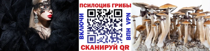 Псилоцибиновые грибы мухоморы  купить наркотики цена  Кубинка 